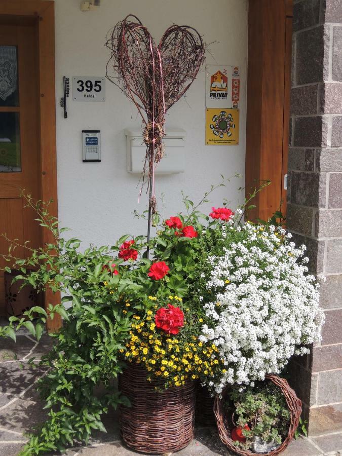 Appartements Karin Mitten Im Gruenen Schoppernau Extérieur photo
